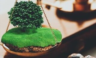 Изменения в Земельном кодексе Украины и законодательстве о планировании использования земель